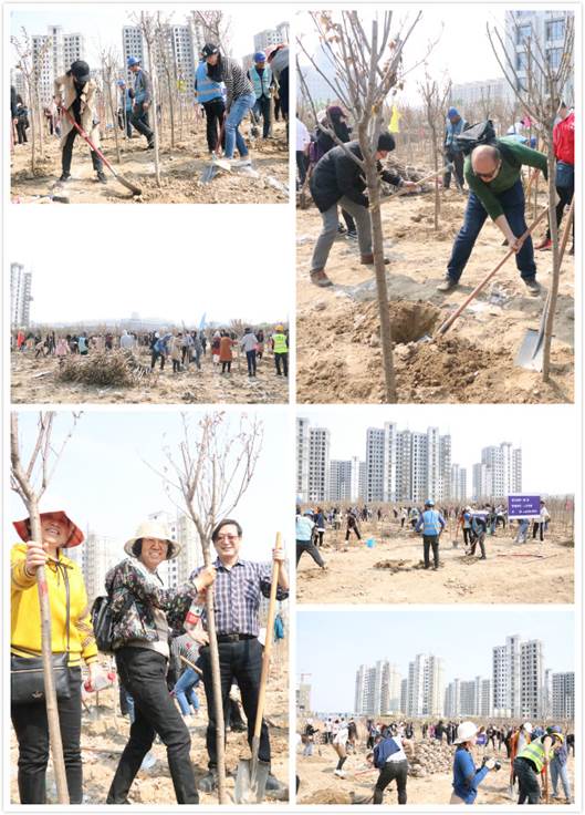 微信图片_20190404105331